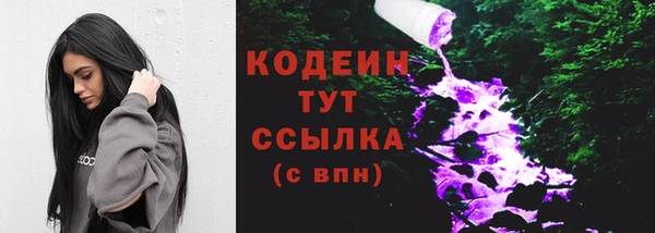 таблы Бородино