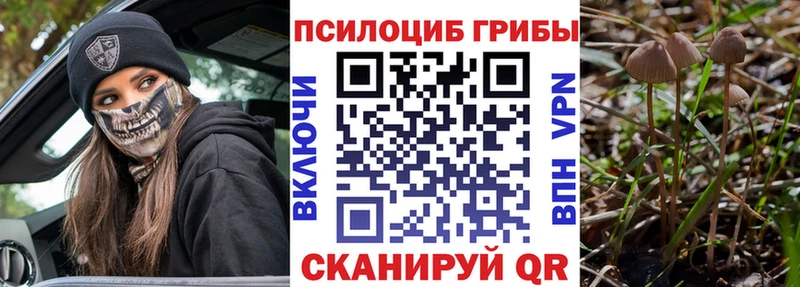 продажа наркотиков  Лиски  Псилоцибиновые грибы Cubensis 